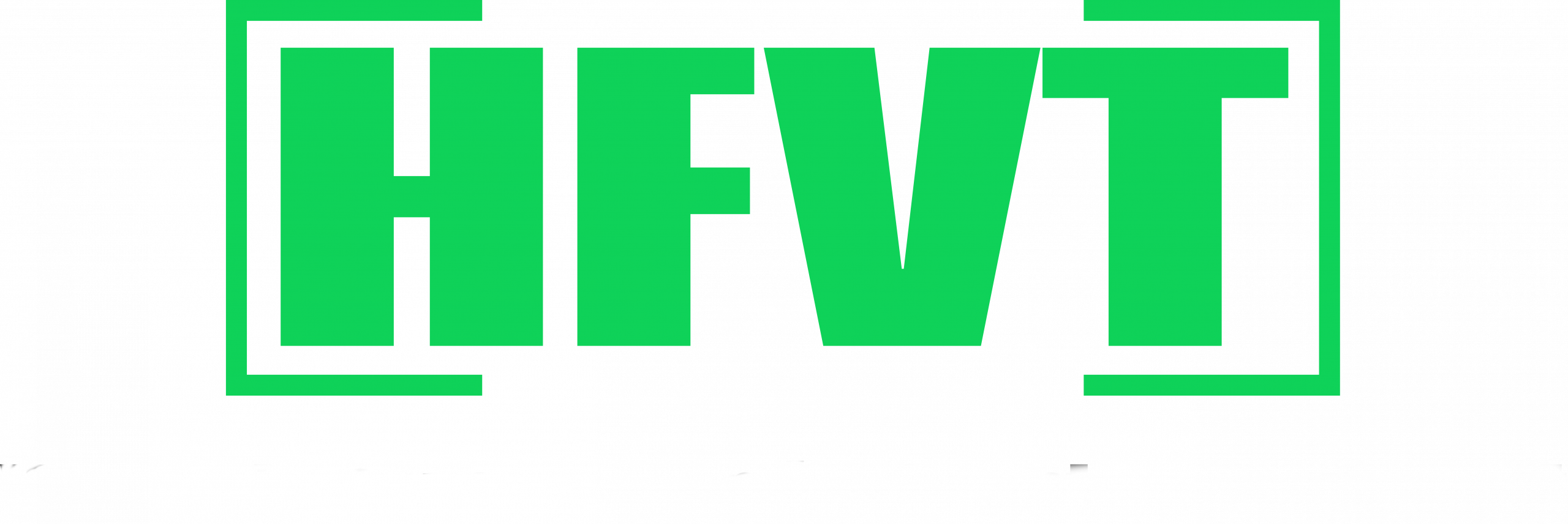Hermann Fischer VT